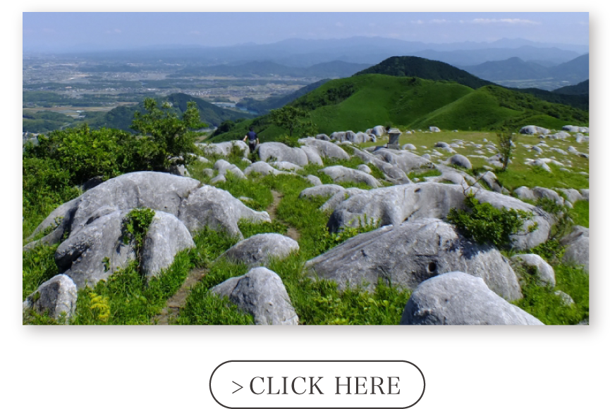 ?????????????????????